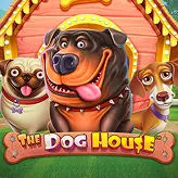 Betify Jeu amusant avec des chiens joyeux